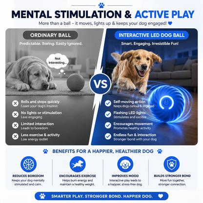 Smart Interactive Dog Ball Toy – Automatic Moving, Rolling & Bouncing USB Rechargeable Ball for Puppies and Dogs